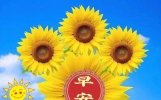 今日早上好漂亮聊天免打字问候图片，群发微信的早安祝福短信