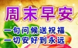 今日早安祝福问候语，早上好金句珍惜友谊，吉祥如意身体好