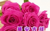 清晨真诚友谊早安，励志短句正能量，清晨放飞祝愿，展开崭新一天