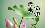 养眼养心的唯美句子，值得收藏