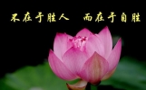 十大为人处事经典语句，悟懂四面有路八方来财
