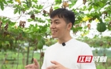 逐梦瓜蒌地 扎根乡土情——何淋珺“让土地生金”的创业故事