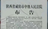 中国娱乐圈首位，被执行死刑