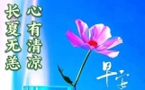 愿我的朋友，炎炎夏日，心有清凉，长夏无恙，幸福如意
