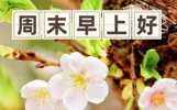 今天清晨友谊问候语，暖心早上好金句大全，来祝你周末愉快
