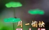 早上好有文采的祝福语，暖心祝福语推荐，幸福安康常伴左右
