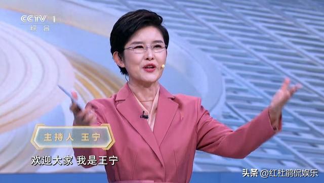 从邹韵到王宁：央视主持人大赛新闻季两任主持人，半斤八两的区别