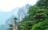 旅游途中，糗事不断，各种场景，自带笑点，回味一下，能乐半天