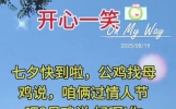 幽默笑话，笑不笑，看了便知