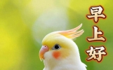 18句今日最新早上好问候语精选大全，温馨牵挂，晨安送福