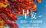 每天的问候，是心意的牵念，心在缘在，情谊在，早安！