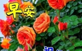 朋友不一定合情合理，不一定形影不离，但一定心心相惜，早安！