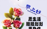 非常暖心的唯美早晨寄语，早上好祝福金句，愿喜乐平安如意