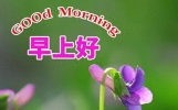深深友情常思念，淡淡祝福重如山，轻松问候心相连，早安！