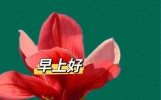 早晨问安：朋友是福，相伴左右，吉祥无边，愿友谊长存，早安！