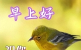 最新早晨发朋友圈的精美句子，温暖人心的祝福语，愿你幸福美满