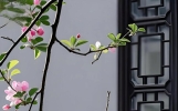 学问、理论与经验