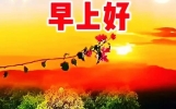 非常创意唯美早安温馨祝福表情图片带字问候语，简单欢乐早晨问候亲友的关心话吉祥短语