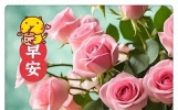 今天唯美的早上好祝福图片，问候祝福语的短语，我祝福都在你身旁