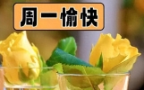问候早上好的短语，愉快走心的早安朋友圈文案，传递着温馨与祝福