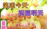 最新早上好金句珍惜友谊，早安祝福短句，祝你今天开开心心度过