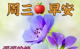 今日正能量早安语录，友谊永久早上好问候语，吉祥如意，事事顺心