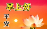 8月24日早上好温暖人心的句子，鲜花祝福图片，愿好运与吉祥同在