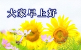 今日最新吉祥早安祝福语，每天问候语暖心短句，祝福永远相随