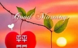知心朋友心连心每天问侯胜千金；笑容灿烂伴你身，阳光照耀心无忧