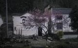 人老独居别犯难！这3条“避坑建议”，读懂少走很多弯路