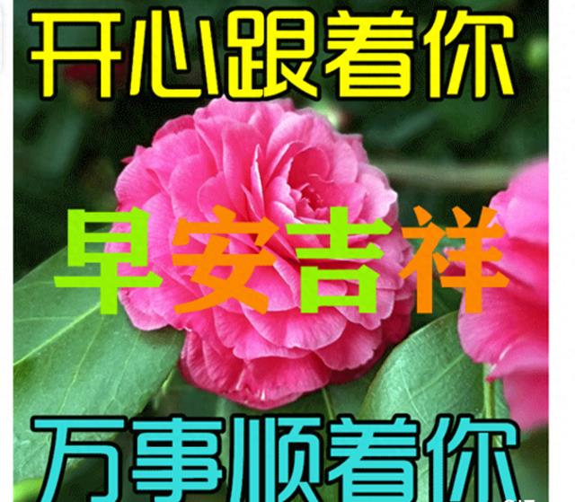 远相思，近相伴，真诚友情，心意相连的温暖力量
