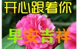 远相思，近相伴，真诚友情，心意相连的温暖力量