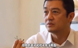 爆出新闻，震惊娱乐圈！