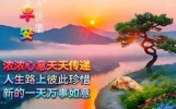 20张新版早安好祝福漂亮图片，精选20条温馨问候语；周末早安！