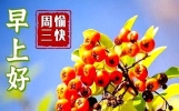 漂亮简短早上好句子集合，朋友圈文案汇总，吉祥如意，身体安康