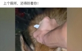 这16个搞笑段子是真的炸裂啊!我都笑得停不下来了!哈哈哈!