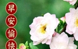 10月26日最新早上好友谊金句!清晨早安心语,愿亲友开心一整天