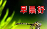 今日早安心语每日一语，发朋友圈的精美短句子，问候准时送到