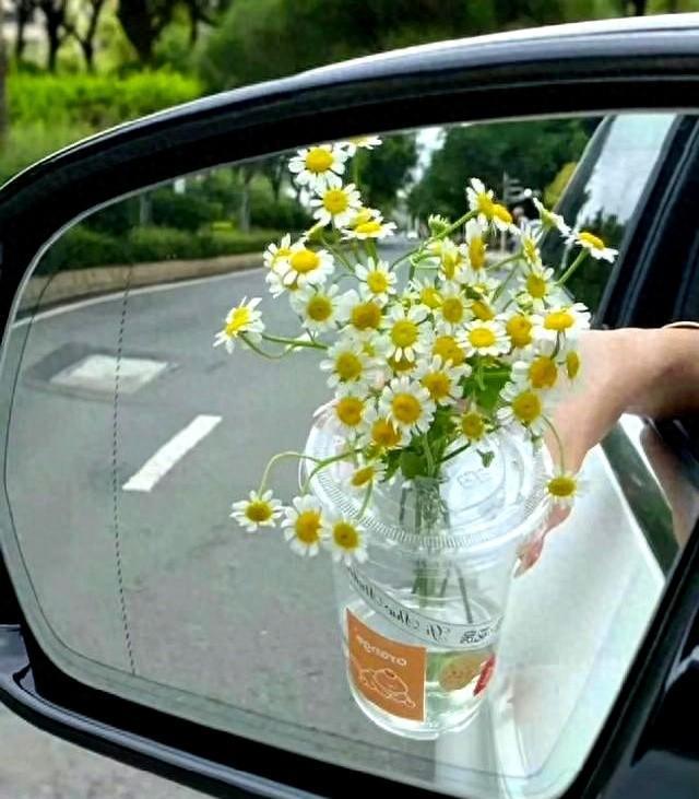 但凡你狠心一点，偷偷流泪的人都不会是你