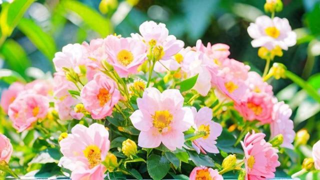 别让友情只留遗憾：真正的意义，是一起创造美好回忆