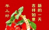 今日最新早上好暖心牵挂祝福语图片大全，唯美早安问候朋友句子