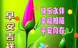 18句每天好心情早安祝福语大全！相互牵挂，祝福无价！