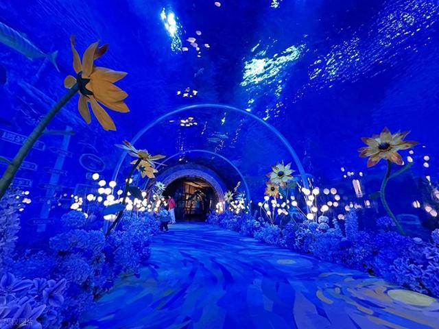 校长在高三冲刺高考200天励志大会讲话：200天后，谁能站上高峰？