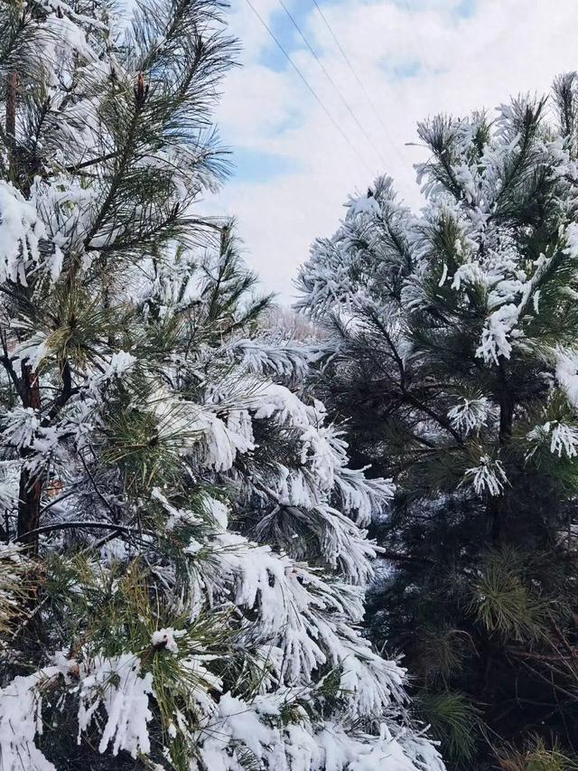 不读这20句诗词，都不知道冬天有多美