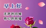 11月30日早上好友谊祝福早安的句子祝大家天天开心