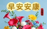 19句晨安暖心祝福，晨光捎念情谊长，愿你安康常伴，日日舒心无忧