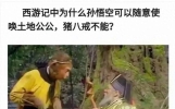12个搞笑段子：笑了老半天