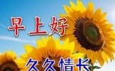 今天最新版早上好温馨问候语，暖心朋友圈文案，祝你早安愉快