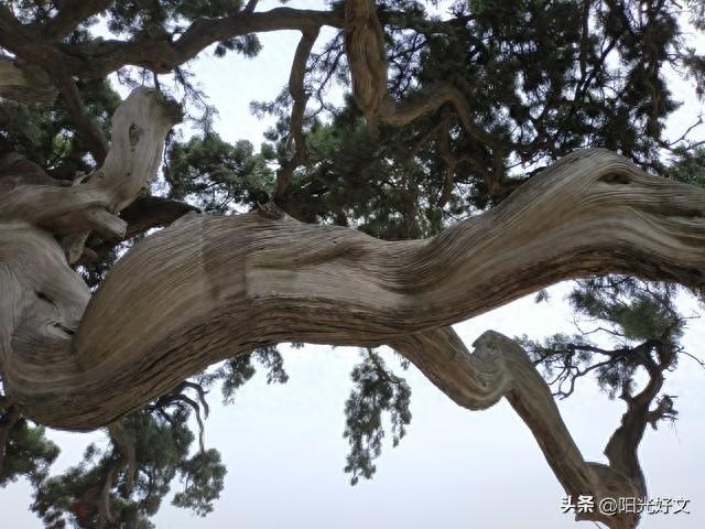 朋友渐行渐远曾经无话不谈，如今相见却无言，这份冷漠该如何打破