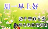 今日清晨祝福早上好语句，优美祝福语吉祥话，愿你精神棒棒